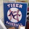 Baseball Poster