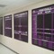 Display Record Boards in your school hallways