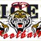 Banner for the Tigers