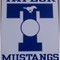 Football Yard Sign