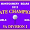 Customize your Golf Champ Board