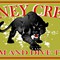 Customize your Swim Banner