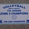 Volleyball Champ Board