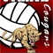 Volleyball Yard Sign for the Cougars