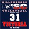 Volleyball Yard Sign in your colors